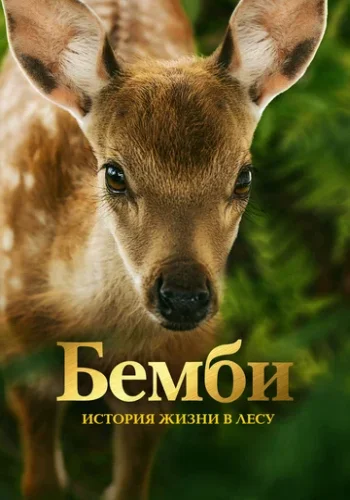 Постер к фильму Бэмби